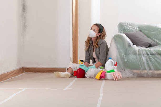 Reliable Black Mold Removal contractor in Cumming, GA by WQB Mold Removal